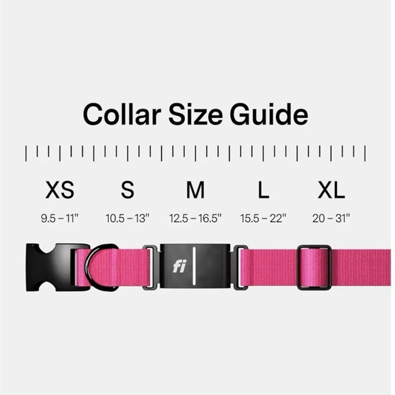 Fi Series 3 Kit Smart Dog Collar Sz L Pink Tracker GPS Health Monitor Waterproof